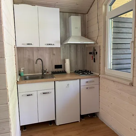 Near Forest * Skhidnytsia