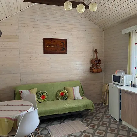 Near Forest Skhidnytsia