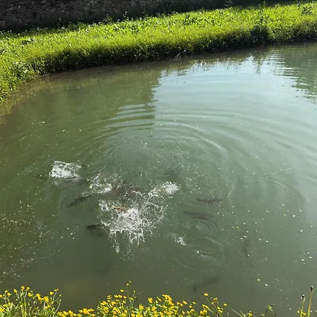 Holiday home Near Forest Skhidnytsia