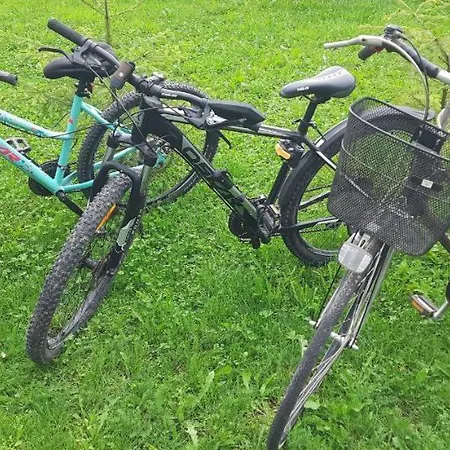 Near Forest Holiday home Skhidnytsia